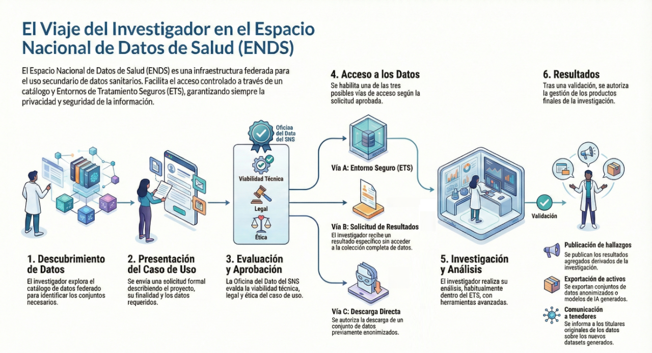 La imagen explica, de forma secuencial, el recorrido que sigue un investigador cuando utiliza el Espacio Nacional de Datos de Salud, conocido como ENDS. El ENDS es una infraestructura federada que permite el uso secundario de datos sanitarios de manera controlada y segura, garantizando la privacidad y la protección de la información. El proceso comienza con el descubrimiento de datos. En esta fase, el investigador consulta un catálogo federado para identificar qué conjuntos de datos existen y cuáles pueden ser relevantes para su investigación. A continuación, se pasa a la presentación del caso de uso, donde el investigador envía una solicitud formal en la que describe el proyecto, sus objetivos y los datos que necesita. Después tiene lugar la evaluación y aprobación del caso de uso. Esta revisión la realiza la Oficina del Dato del Sistema Nacional de Salud, que analiza si el proyecto es técnicamente viable y si cumple con los requisitos legales y éticos necesarios para el uso de datos sanitarios. Una vez aprobada la solicitud, se habilita el acceso a los datos a través de una de tres vías posibles, según el tipo de proyecto. La primera opción es el acceso mediante un Entorno Seguro de Tratamiento, donde el investigador trabaja directamente con los datos dentro de un entorno controlado. La segunda opción es la solicitud de resultados concretos, en la que el investigador recibe únicamente los resultados solicitados sin acceder a los datos completos. La tercera opción es la descarga directa de conjuntos de datos previamente anonimizados, cuando está permitido. Con los datos disponibles por la vía autorizada, el investigador realiza la fase de investigación y análisis, habitualmente dentro de los entornos seguros, utilizando herramientas avanzadas de análisis de datos. Tras finalizar el trabajo, los resultados pasan por un proceso de validación. Finalmente, se gestionan los resultados de la investigación. Esto incluye la publicación de hallazgos en forma agregada, la exportación de activos como conjuntos de datos anonimizados o modelos generados mediante inteligencia artificial, y la comunicación a los titulares originales de los datos sobre los nuevos conjuntos o resultados derivados de su uso. En conjunto, la imagen representa un proceso ordenado y controlado que permite aprovechar los datos de salud para la investigación, asegurando en todo momento la seguridad, la ética y la protección de la información.