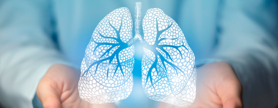 Profesional sanitario sosteniendo pulmones en sus manos 